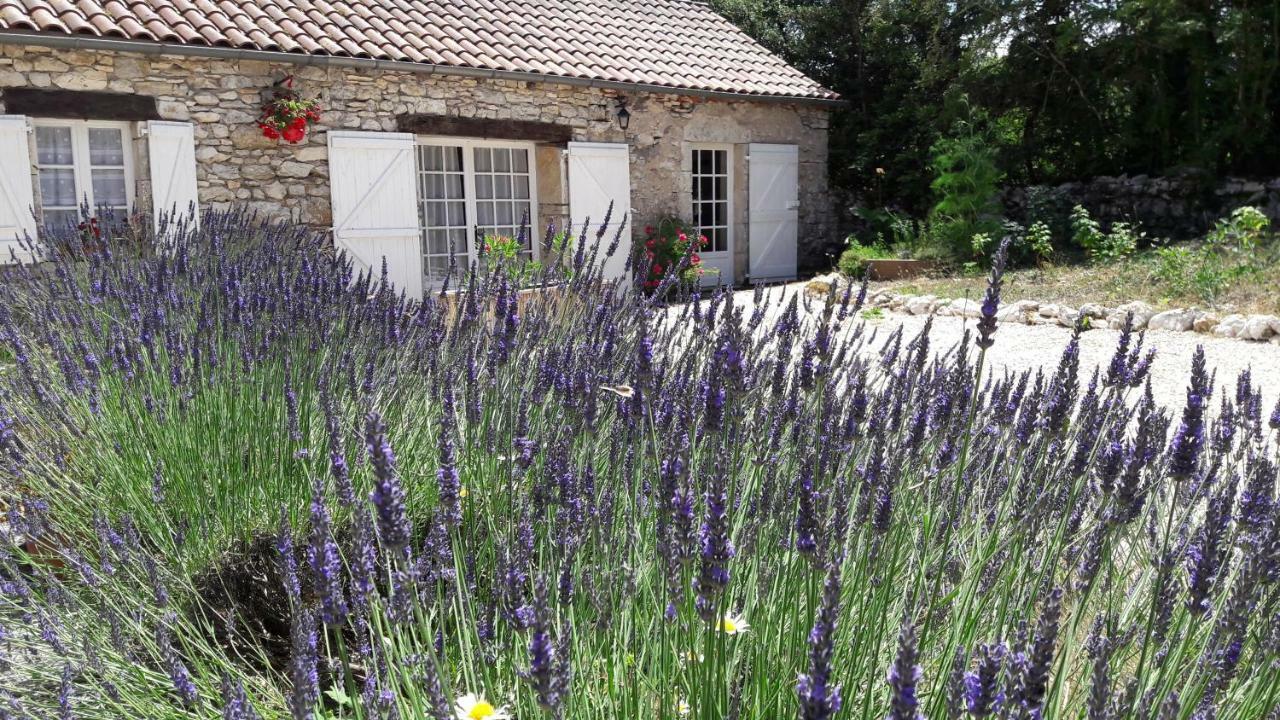 Les Vitarelles En Quercy Berganty Eksteriør bilde